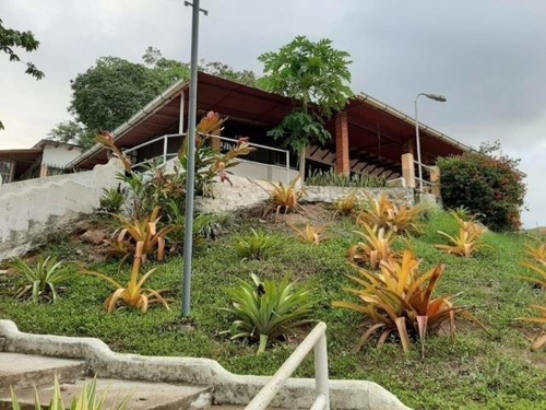 Imagen 9 de 12 de Finca En Venta En Nirgua Yaracuy Marco Sevilla C425989