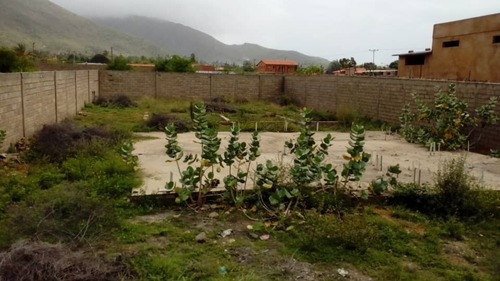 Imagen 6 de 12 de Amplio Terreno Vía Guacuco Con Sus Servicios. Tapiado Y Con Proyecto 22-19040