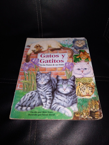 Libro Gatos Y Gatitos En La Punta De Tus Dedos