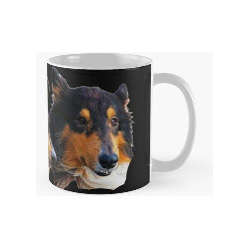 Taza Impresión Realista Del Perro - Collie Lindo Calidad Pre