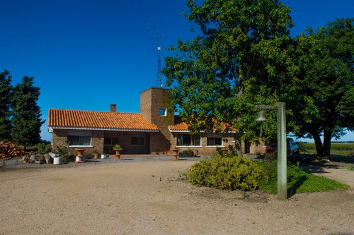 Vendo Campo De 242 Hectas En Proximidades A Ciudad De Libertad
