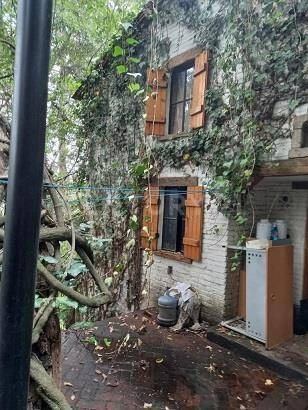 Imagen 6 de 13 de Venta De Terreno 2,385 M2, Desierto De Los Leones, Álvaro Obregón, Cd México.