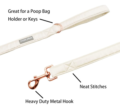 Lionet Paws Juego De Collar Y Correa De Seda Para Perro, Aju