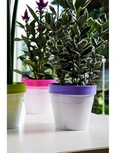 Imagen 2 de 4 de Maceta Italiana Classic Exclusive - 16 Cm - Varios Colores
