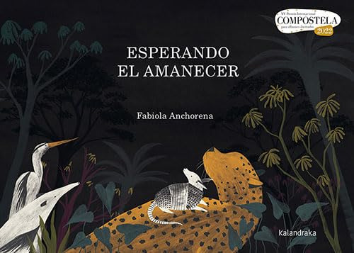 Esperando El Amanecer - Anchorena Fabriola