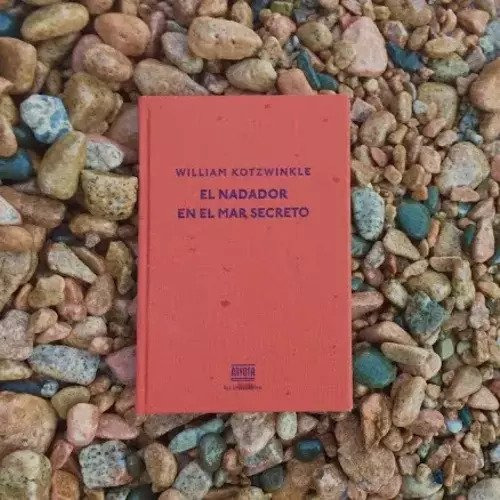 El Nadador En El Mar Secreto, De Kotzwinkle, William. Navona Editorial, Tapa Dura, Edición 2 En Español, 2021