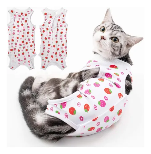 Gato con calzones hotsell