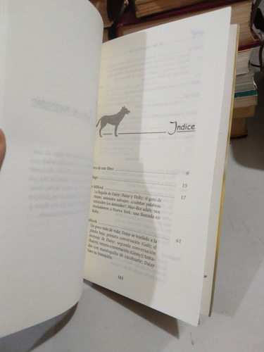 El Sutra De Daisy Helen Weaver (Usado)
