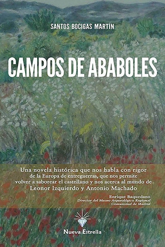 Campos De Ababoles, De Bocigas Martin, Santos. Editorial Nueva Estrella, Tapa Blanda En Español