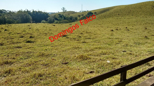 Venda - Fazenda - Zona Rural - Águas De Lindóia - Sp - D0336
