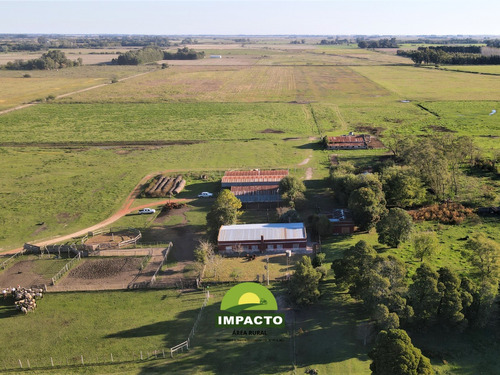 En Venta Campo Lobos, Buenos Aires 155has Campo Mixto Ganadería Agricultura 