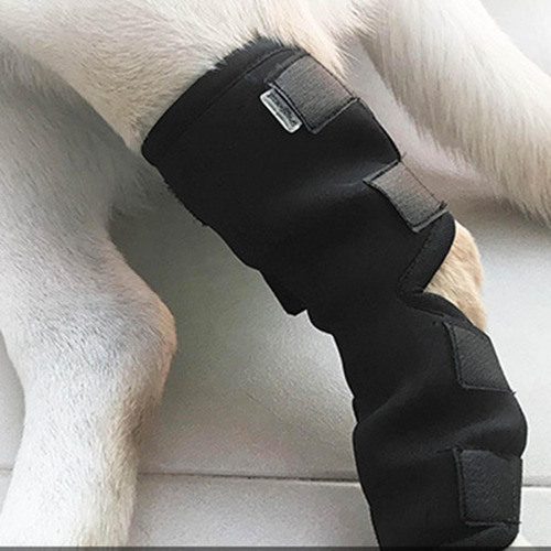 Soporte Para Piernas Para Perros Vendajes Flexibles Para L