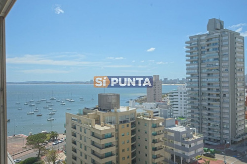Imagen 8 de 18 de Apartamento 2 Dormitorios En Península