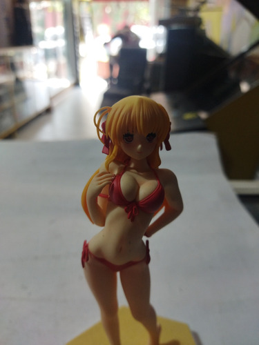 Boneco Erika Sendo Fortune Arterial (Usado)