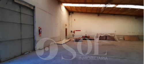 Imagen 14 de 30 de Galpón 1500 M2 En Allen