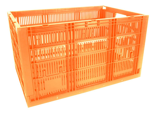 Caja Cpr Colapsable 34