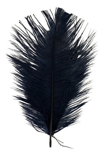 Plumas e Penas Fantasias Pena de confete pluma de avestruz 5 12 Cm carnaval artesanato cor Preto