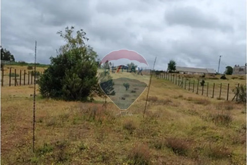 Terreno 5.000 M², Nilahue Alto, Acceso Pavimentado