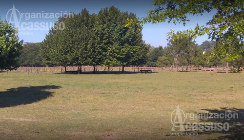Imagen 4 de 8 de Chacra - Carmen De Areco