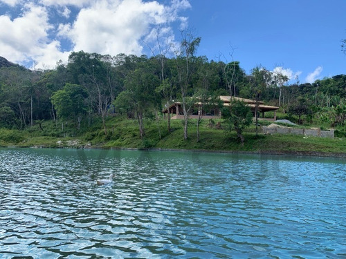 Imagem 1 de 30 de Lindo Sitio, Com 03 Nascentes! Ideal Para Lazer E Criação. - 118 - 69225614