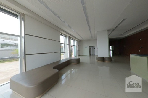 Imagem 14 de 15 de Sala-andar À Venda No Estoril - Código 271273 - 271273