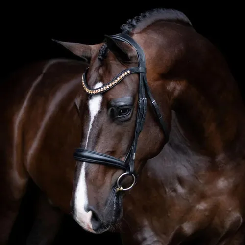 Brida Cuero 'atenas' Snaffle