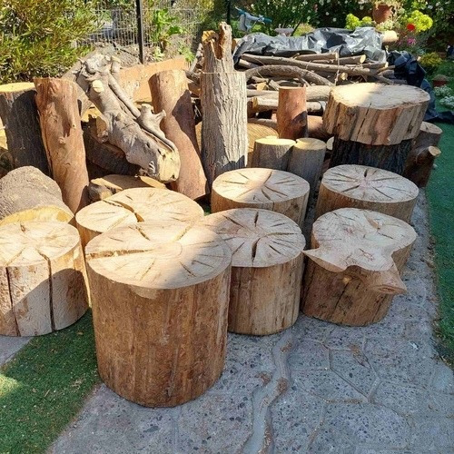 Troncos De Madera Eucalipto Y Roderas