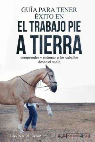 Guía Para Tener Éxito En El Trabajo Pie A Tierra: Comprender