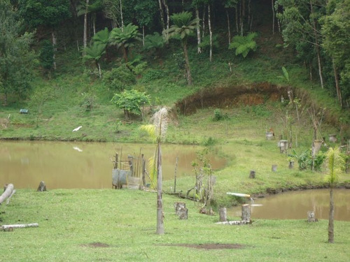 Imagem 6 de 15 de Sitio No Bairro Vargem Do Salto | 47733 - 47733