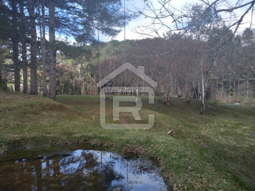 Imagem 13 de 30 de Itio Ideal Para O Seu Lazer Tendo 3 Lagos Piscosos Com Peixe, 02 Nascentes Próprias, Pomar, Horta. - 77 - 70066608