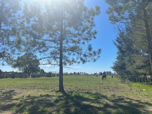 Terreno En Haras El Malacate Lote 145