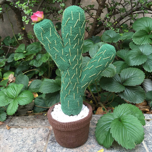 Peso De Porta Cacto De Crochê - Varal