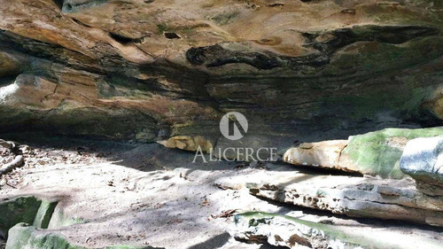Imagem 3 de 13 de Sítio Com 2 Dormitórios À Venda, 2000 M² Por R$ 160.000,00 - Demoras - Alfredo Wagner/sc - Si0015