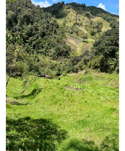 Finca Para Produccion O Glamping En Venta