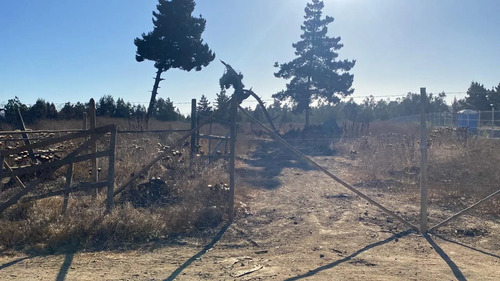 Se Vende Parcela De 1ha En El Sector Malvilla, San Antonio