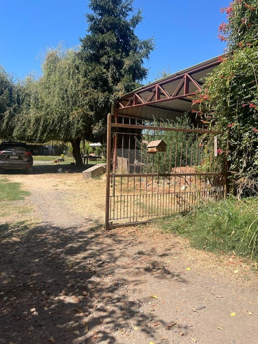 Imagen 5 de 30 de Parcela 19.000 M2 Con Casa Y Bodegas En Idahue Coltauco