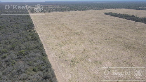 Campo En Venta 4100 Has.santiago Del Estero.apto Bonos Verde