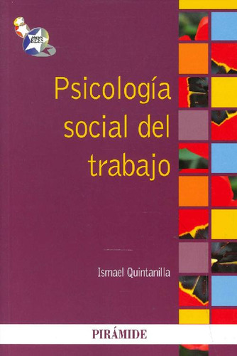 Libro Psicología Social Del Trabajo De Ismael Quintanilla Pa