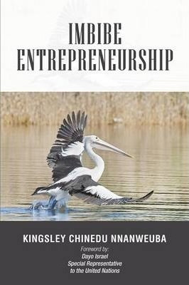 Libro Imbibe Entrepreneurship - Kingsley Chinedu Nnanweuba