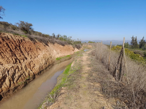 Visite 3 Opciones De Parcelas En Los Laureles (171106)
