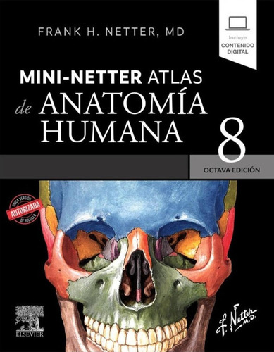 Mini Netter. Atlas de Anatomía Humana 8va Edición: No, de Netter, F.H.. Serie Netter, vol. 1. Editorial Desconocida, tapa pasta blanda, edición 8 en español, 2023