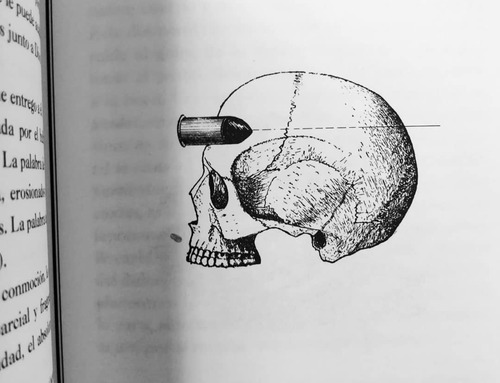 Imagen 5 de 5 de Caída Del Búfalo Sin Nombre De Alejandro Tarrab