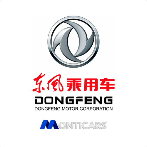 Parrilla Frontal Dongfeng S30 Original