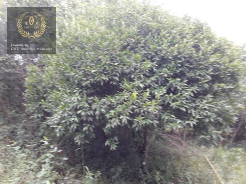 Imagem 9 de 12 de Terreno À Venda, 3283 M² Por R$ 160.000,00 - Planalto - Viamão/rs - Te0143