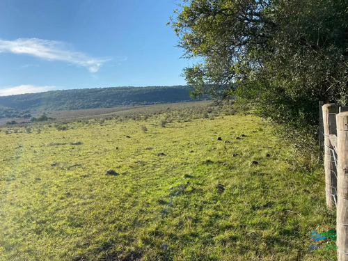 Buen Campo Mixto A 1 Hora De Punta, Buen Acceso E Instalaciones.