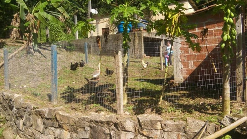 Imagem 29 de 30 de Chácara Em Caneca Fina, Guapimirim/rj De 10900m² 3 Quartos À Venda Por R$ 550.000,00 - Ch421832-s