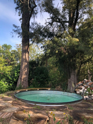Imagen 3 de 12 de Salón Quincho P/pasar El Día Eventos Y Cumpleaños Familiares