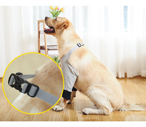 Rodilleras For Mascotas Coderas For Perros Espinilleras