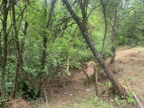 Parcela De 7.500 Mt2 En Sector Puninque