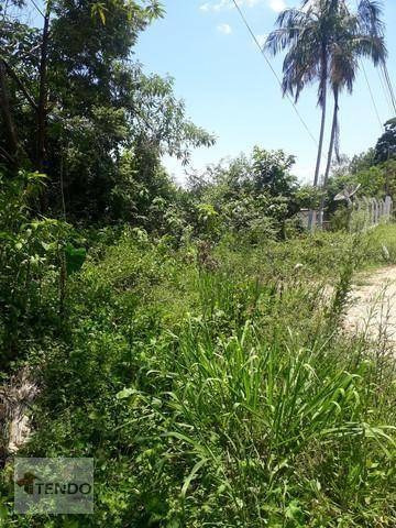 Imagem 1 de 15 de Terreno 1200 M² - Venda - Clube Dos Oficiais - Suzano/sp - Te0266